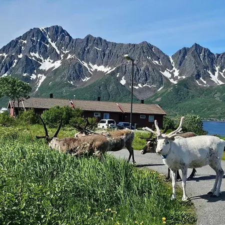 Nord Hus 3